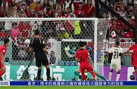 欧宝体育官网-如何去瓦努阿图